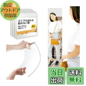 【送料無料】Ronnaquetta全身鏡 姿見 鏡 壁掛け鏡 シールミラー 割れない鏡 全身ミラー 鏡 30×25cm 4枚 飛散防止 浴室 鏡シール 長い鏡 立ち鏡 風呂 鏡 壁に貼る鏡 ココミラー 壁 鏡子 壁掛け式 軽