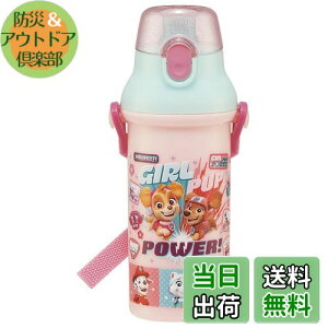 yzXP[^[(Skater) qp vX`bN  480ml vbVJ R qɗD y RۉH { pEEpg[ GIRL PUP ̎q PSB5SANAG