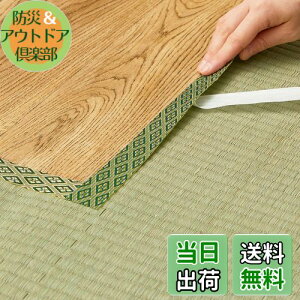 yz(Hagihara) EEȌCpe[v O[ 4m uNo.12v {