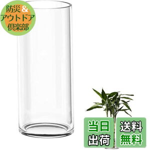 yzDARENYI KX ԕr 傫 35cmt[x[X ~ 傫  ^ ԕr NA Vv  CeA (a12cm 35cm)