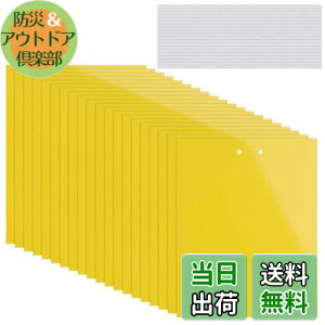 yzKALOLINNA  SV[g  QߊlS ʔS h S ȒPt Q ߒ h nG 쏜 ߊl K[fjO _ ͔| ƒ؉ CG[ (20×10cm,20)