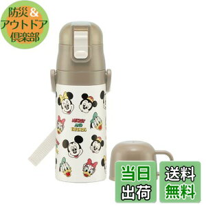 yzXP[^[(skater) qp XeX  2way  420ml Rbv 350ml ~bL[&tY NbLO qɗDyʃ^Cv ̎q j̎q ۉEۗfBYj[ e