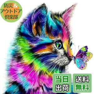 【送料無料】5dダイヤモンドアート 猫と蝶 5D ダイヤモンド塗装 モザイクアート ダイヤモンドペインティング キット ビーズ絵画 全面貼り付けタイプ ビーズアート モザイクビーズ 芸術品 装
