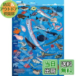 yzG|bN 100[Ws[X WO\[pY CXg/A[g Fi [C} [200m~1000m (26×38cm) 26-807 ̂t wt _t EPOCH