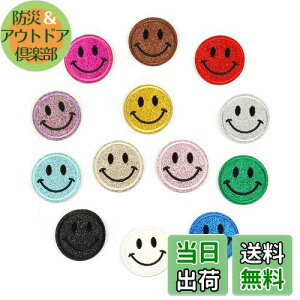 yzYFFSFDC ACby hJ X}CbyZbgɂ DIY   qp ct ۈ牀  pb` Cy13Fz