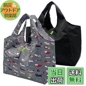 yz[GOKEI] GRobO RrjobO y2z `obO L }`L  ܂肽 hf y  WobO RpNg [ ≘ɂ j Y