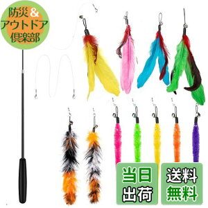 yz14 _Zbg L ColiChili L炵 VR Ĥ pH11 _t pނ莅2 ԂԂ ybgObY ˂pi