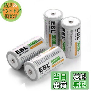 yzEBL Pdr@5000mAhP2`[dr 4{pbN eʒP2dr KXRAWIȂǂɑ劈 drP2