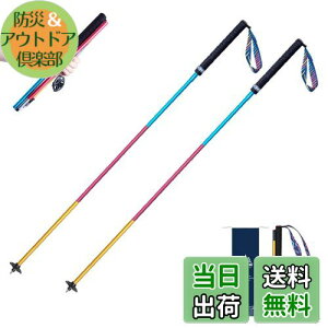 yzTRIWONDER gCjOp|[ 2{Zbg ܂肽ݎ y g|[ gbLO|[ oRXgbN EH[LO|[ mfBbNEH[LO (J