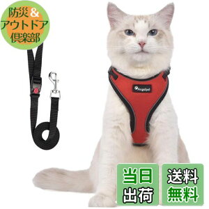 yzL Lp n[lX  L ˂ lR qL q ^ U o Ȃ xXg \tg y ʂ}WbNe[vő TCY߉ 锽 ʋCbV