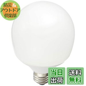 【送料無料】パナソニック 電球形蛍光灯 パルックボール 電球60W形相当 口金直径26mm 電球色 EFG15EL11E