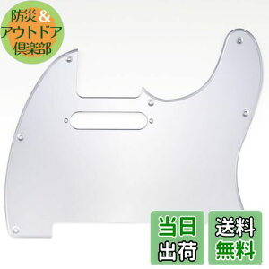 yzMusiclily 8 TL eLX^[sbNK[hFender USA/LVRX^_[hTeleGLM^[pAVo[~[1P
