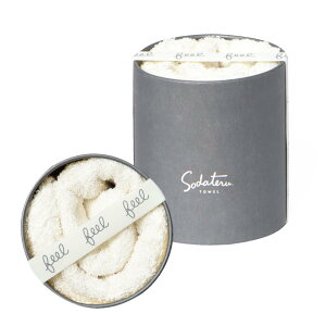 yzĂ^I feel tFCX^I 34×85cm 100 {bNX (~Xg(n))