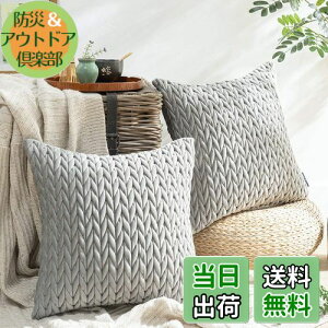 yzPhantoscope NbVJo[ xxbgv[c k 2  e͐ LeBO \t@w   n2WAY O[ 45×45cm