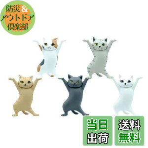 yzMRZJ JKRLyz_[lR̃y S5Zbggyz_[ (5PCS)