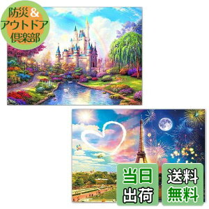 【送料無料】2枚セット 5Dダイヤモンドアート キット ダイアモンドビーズ絵画キット DIY・手作り絵画手芸キット 5D モザイクアート ハンドメイド かわいい 芸術品 装飾 ダイヤモンド塗装 全