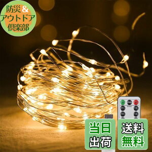 【送料無料】CCINEE LEDイルミネーションライト ジュエリーライト 100球 10m USB式 リモコン付 8モード 点滅 点灯 タイマー機能 防水 防塵仕様 屋外 室内 ガーデンライト 正月 クリスマス 結婚式