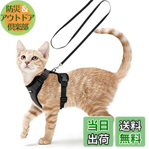 yzRabbitgoo L n[lX [h Zbg ^ Lp Ȃ ́[˂ \tg y グ TCY߉ lR U R 锽 ʋCbV Pݖh~ 