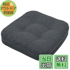 yzHAVARGO zc ֎qp ᔽ+ w\ ֎qNbV 7CM 傫 KɂȂȂNbV `FANbV n^ ~ (_[NO[, 42X41)