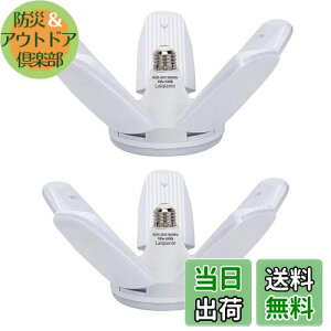 yzLaiqianle K[WCg 100w 2 LEDV[OCg y_gCg Ɠ 6 F 6500K VƖ tȒP Hsv px߉\ ȃGl Ԍ q [ HpCg 