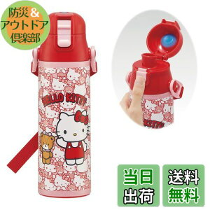 yzXP[^[(Skater) qp XeX   580ml n[LeB 낤 TI qɗDyʃ^Cv ۗp waterbottle X|[c{g 킢LbY q 