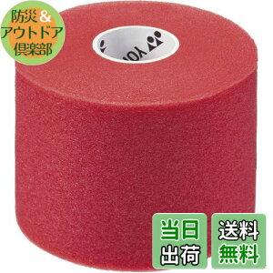 yzlbNX(YONEX) oh~g Obve[v NbVbv bh(001) AC381