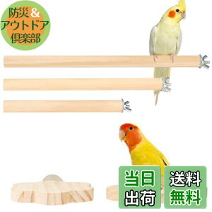 yzIRRVIN 5Zbg p~܂ CR Ƃ܂ X^h CR  p[` CR܂𖁂 ނ xݏꏊ XgX Vѓ P[WX^h tȒP