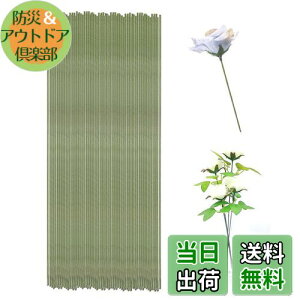 yzKDSSYFT Ԃ̌s 100{ 0.7mm t[DIYp nC[  |pLbg ԑ Mtgp Ȃ\ t[C[ `f (O[)