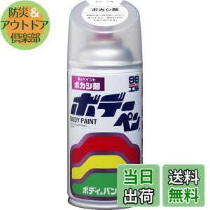 yz\tg99(SOFT99) 99H[ CyCg {f[y {JV 300ml ԃ{fBAop[AA؍ 08004