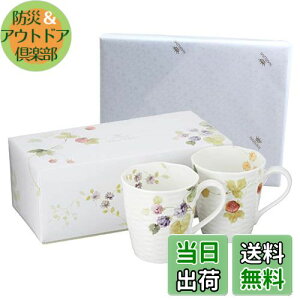 yzNARUMI(i~) yA}OJbv [V[K[f 370cc x[ 2Zbg 킢  [t 傫 j ̓ v[g dqW H@Ή Mtg