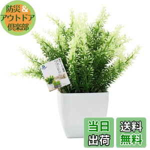 yzTOSSOW lHϗtA  tFCNO[ tFCNϗtA l CeA v[g Ηt