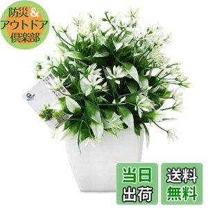 yzTOSSOW lHϗtA  tFCNO[ tFCNϗtA l CeA v[g ΂Ɣt