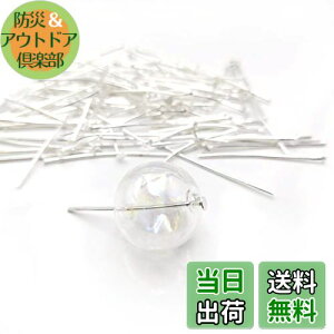 yzyBEAUTY PLAYERzTs 100{ 3.0cm Vo[ ݌ɏIANZT[p[c b sAX uXbg lbNXȂ nhChޗ DIYp |f Ntg (Vo[, 3.