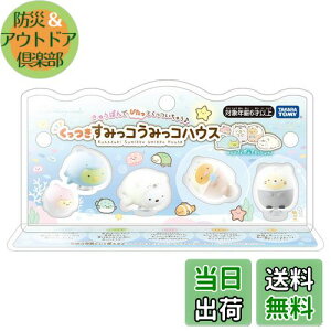 yz݂R炵 ݂R ݂RnEX tBMAZbg