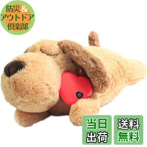 yzDEWU ybgpn[gr[gʂ݁Aqŝ\tgybgg[ʂ݃X[sOofBs⏕sɘa⏕ʂ݃X}[gL