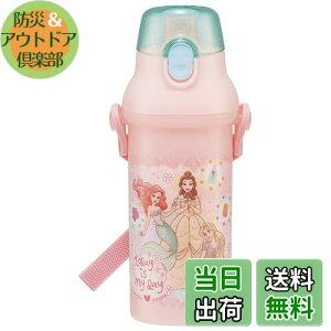 yzXP[^[(Skater)  480ml vZX 23 qp ̎q R vX`bN { PSB5SANAG-A