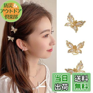 ALLMIRA wANbv ~j 3Zbg  Nbv  oXNbv  wAANZT[ X  ONbv wAs p[  킢 X O wA hair clip