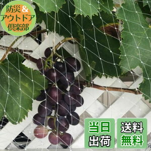 【送料無料】鳥よけネット ベランダ 防鳥ネット 透明色で視界や日差しを遮らない 小型な鳥たちの侵入防止 カラス 鳩 鳥害対策 防鳥網 ブルーベリーや野菜栽培や果樹などの守り鳩避けネッ