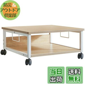 yzIBUYKE v^[ 2i ItBXS [ [ fXN ω׏d50kg LX^[t 50cm s50cm 24cm i` JPTLJ008R