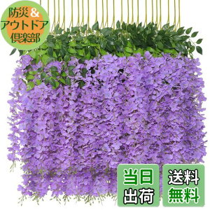 yzsiawadeky ̉  12{ lH lHϗtA ͂Ȃ ΂̗t 艺 ԏ x_ K[f  p[eB[ Ǒ ԗ VN ʐ^Be 뉀 