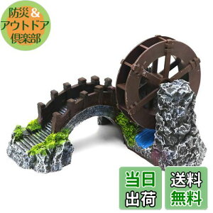 yzCharmoon ANAE ۋ   a B VF^[ A  IuWF