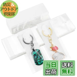 yzPH PandaHall 䎆 uXbg L[z_[p 100 OPPܕt L[O Wp  WJ[h n ANZT[p[c ̔p WG[p nhCh ifBX