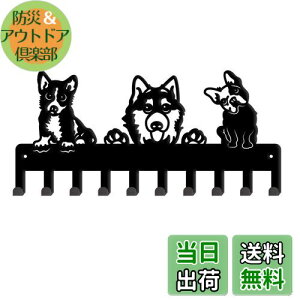 SUPERDANT 3ČL[tbN StbN Ǌ|tbN L[z_[ ǎtR[gbN EH[nK[ }`tbN lWttbN ǖʎ[  ω׏d EH[b