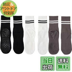 yz[DFsucces] K\bNX ~ KC 3 Õ\bNX  ۉ seBX \bNX RۏLC z z ʋC X|[c tBbglX I[V[YΉ 