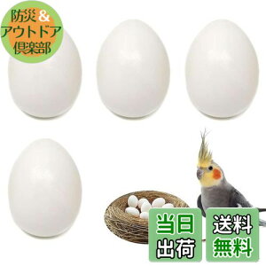 yzPAVIKE U  4Zbg CR tFCN`LGbO bgngɐBpi lHlXg HiTv tFCN_~[GbO IJCR ERCR RUNC