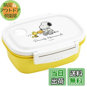 yzXP[^[(Skater) Ny y ٓ M 550ml WΉ V[e ۑe Xk[s[  { XPM4-A