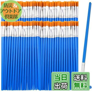 yzDFsucces M GM 50{Zbg 16.5cm ޕM ʕM vf h ʉ G AN yCg