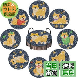 Sitengle _ChA[g R[X^[ Lbg8 r[YA[g _CAhA[g Zbg DIY_ChyCeBO 5D_ChhLbg z_[t R[X^[ |Lbg