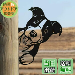 yzMrMrKura  K[f  v[g  K[fjOG O K[fu K[fI[ig S `hbO  K[fIuWF  z[ |pi 