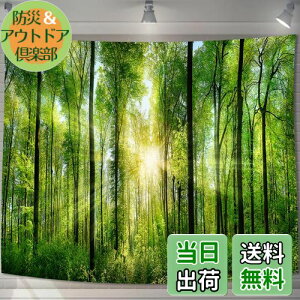 yzU-SITU ^yXg[ Ǌ| Ǐ X  ъ RiF IV wi @\ z|X^[ CeA ͋C]iTCYF75cm x 100cmjJ[FGT0107SA